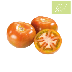 Tomate ENSALADA Ecologico