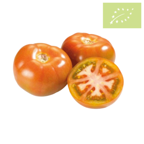 Tomate ENSALADA Ecologico