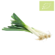 Puerro Ecológico