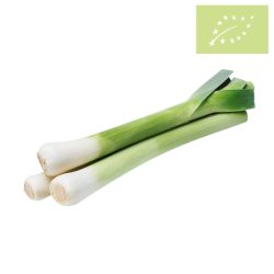 Puerro Ecológico