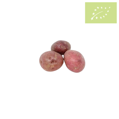 Patata ROJA Ecológica