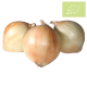 Cebolla BABOSA Ecológica