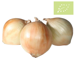 Cebolla BABOSA Ecológica