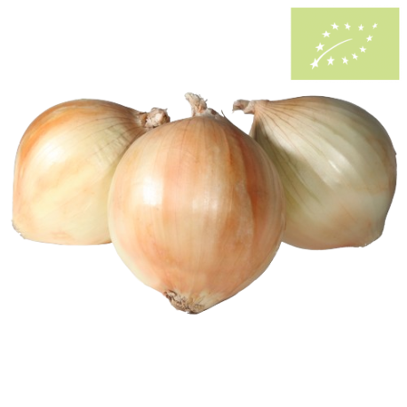 Cebolla BABOSA Ecológica