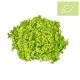 Lechuga Lollo VERDE Ecológica