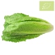 Lechuga OREJA de BURRO ecológica