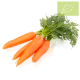 Zanahorias CON HOJAS Manojo 0,50 Kg. aprox Ecológico.