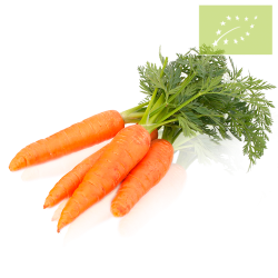 Zanahorias CON HOJAS Manojo 0,50 Kg. aprox Ecológico.