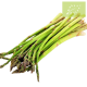 Esparragos FINOS Manojo 500 gr. Ecológicos