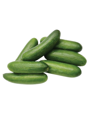 Pepino Mini snack Ecológico