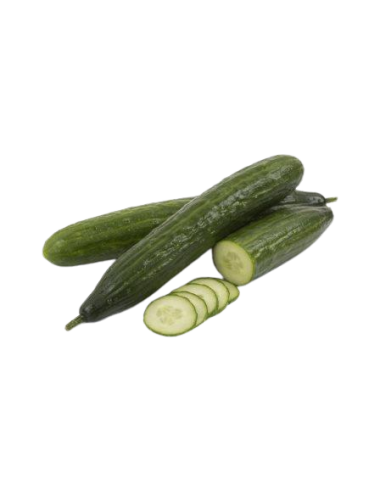 Dutch long cucumber organic