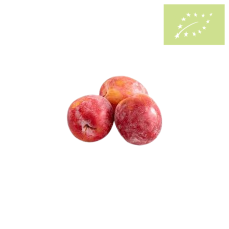 Ciruela Red Beauty Ecológica