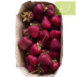 Fresas MADURAS Bandeja 500 gr. Ecológicas