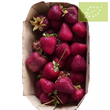 Fresas MADURAS Bandeja 500 gr. Ecológicas
