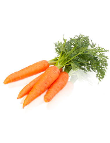 Zanahorias CON HOJAS Manojo...