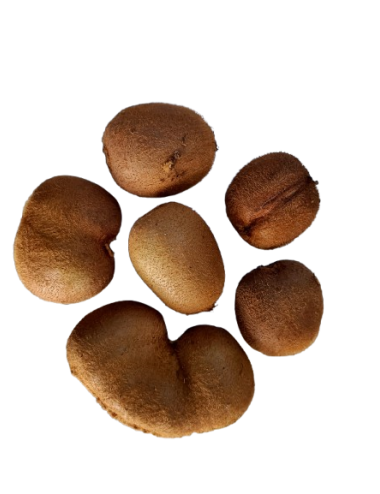 Kiwi Ecológico