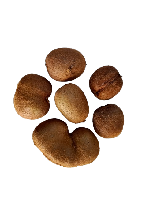 Kiwi Ecológico