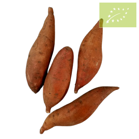 Boniato naranja ECOLÓGICO