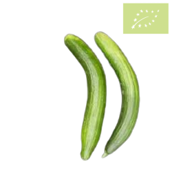 Pepino largo holandés OFERTA Ecológico 