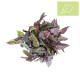 Albahaca MORADA fresca Manojo 100 gr Ecológica