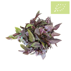 Albahaca MORADA fresca Manojo 100 gr Ecológica