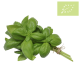 Albahaca VERDE fresca Manojo 100 gr Ecológica