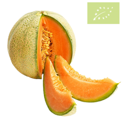 Melon CANTALUPO unidad Ecológico