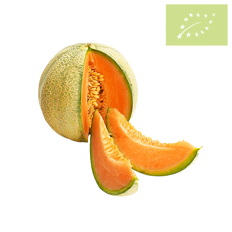 Melon CANTALUPO unidad Ecológico