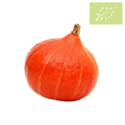 Calabaza Potimarron Ecológica