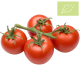 Tomate RAMA Ecológico 