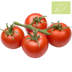 Tomate RAMA Ecológico 