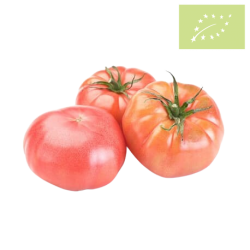 Tomate ROSA ecológico