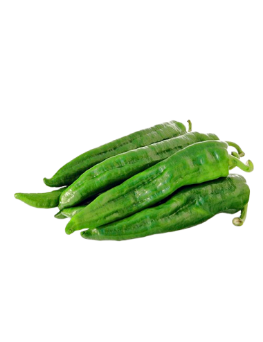 Palermo green pepper (for...