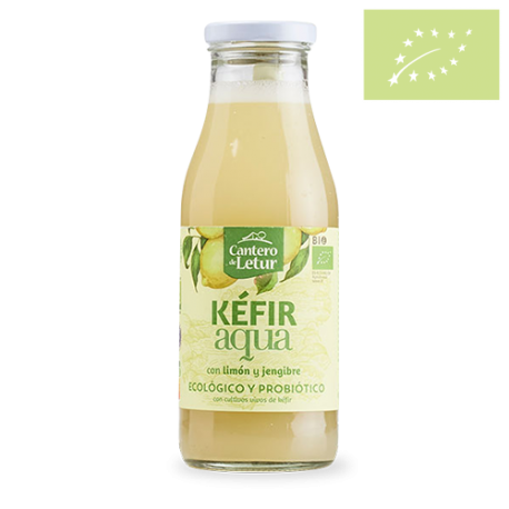 Kefir up limón y jengibre 500ml ecológico
