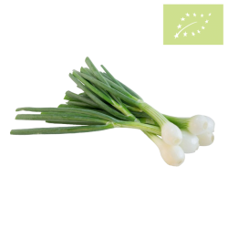 Cebolleta manojo 500 gr Ecológica 