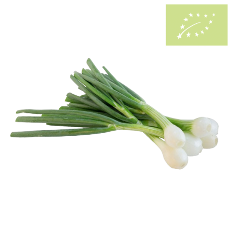 Cebolleta manojo 500 gr Ecológica 