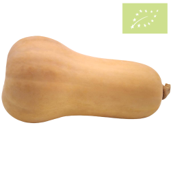 Calabaza Cacahuete Ecológica