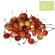 Cereza LAMBERT Ecológica