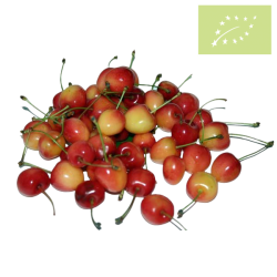 Cereza LAMBERT Ecológica