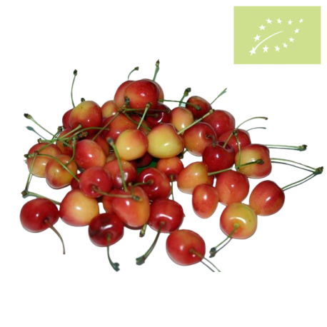 Cereza LAMBERT Ecológica