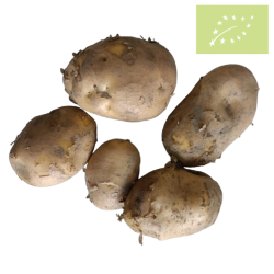Patata BLANCA -NUEVA- Ecológica