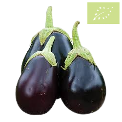 Berenjena NEGRA Ecológica