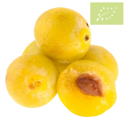 Ciruela AMARILLA Ecológica
