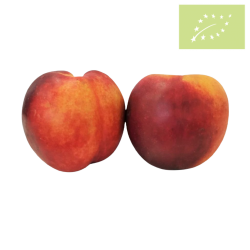Nectarina Ecológica