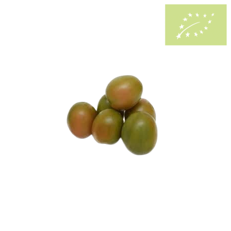 Tomate PERA Ecológico