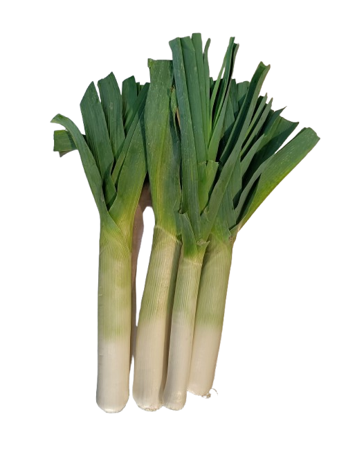Puerro Ecológico