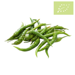 Guindilla VERDE ecológica