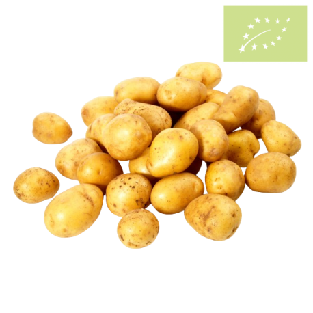 Patata BLANCA GUARNICIÓN Ecológica