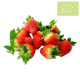 Fresas Bandeja 500g Ecológicas