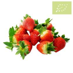 Fresas Bandeja 500g Ecológicas